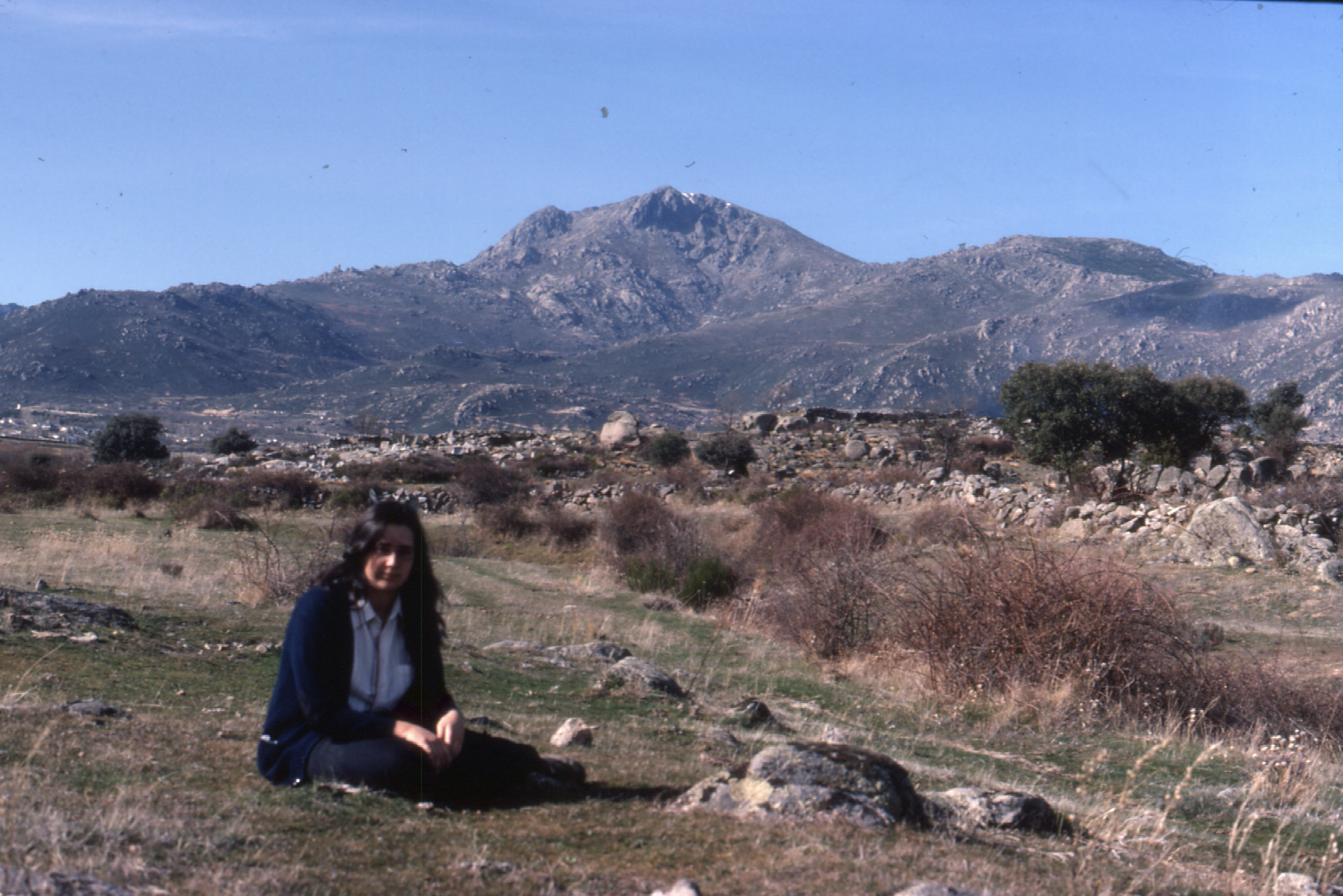 Palo en el muerto 1981